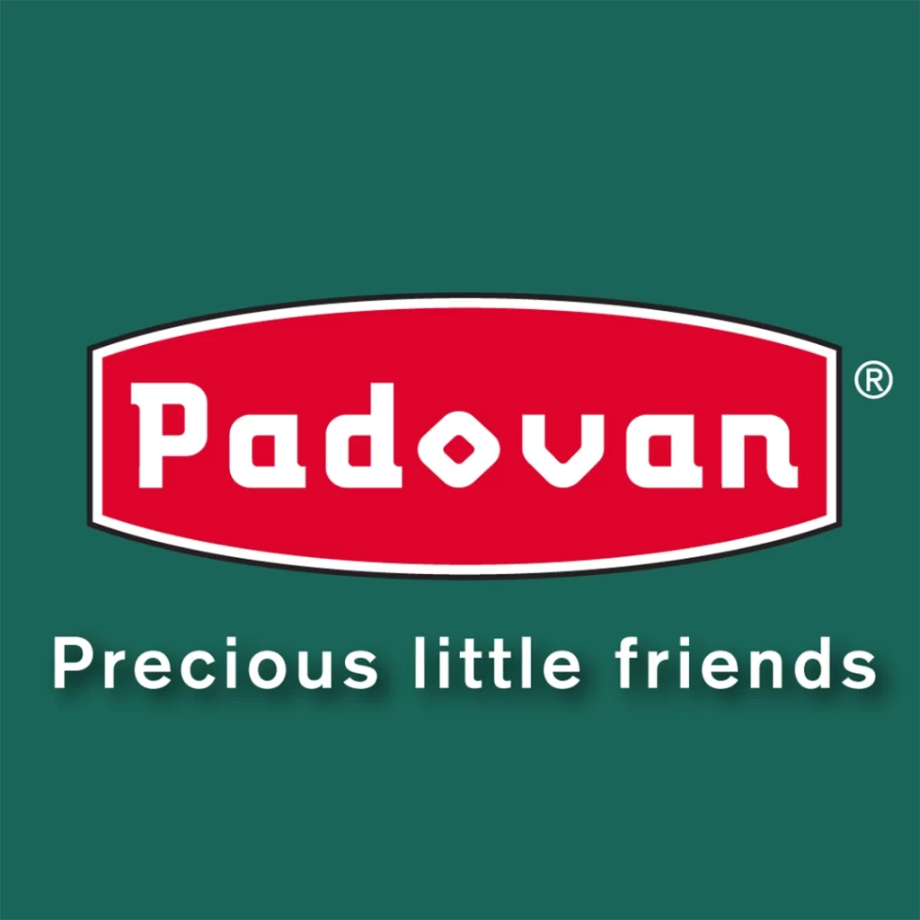 Guapo_Padovan