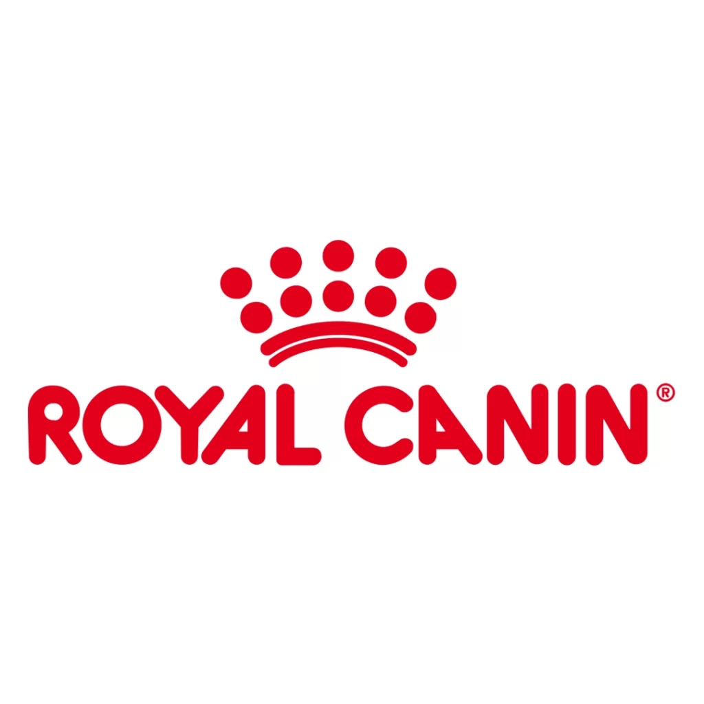 Guapo_Royal_Canin